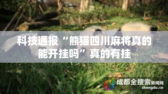 科技通报“熊猫四川麻将真的能开挂吗”真的有挂