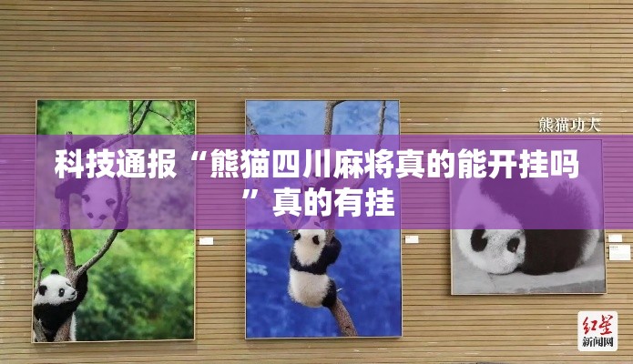 科技通报“熊猫四川麻将真的能开挂吗”真的有挂