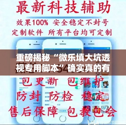 重磅揭秘“微乐填大坑透视专用脚本”确实真的有挂