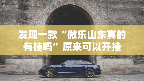发现一款“微乐山东真的有挂吗”原来可以开挂