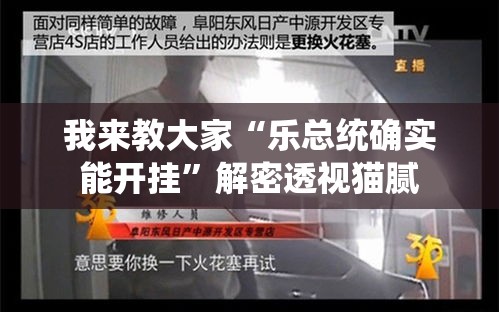 我来教大家“乐总统确实能开挂”解密透视猫腻