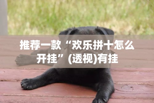推荐一款“欢乐拼十怎么开挂”(透视)有挂