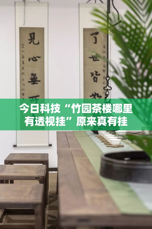 今日科技“竹园茶楼哪里有透视挂”原来真有挂