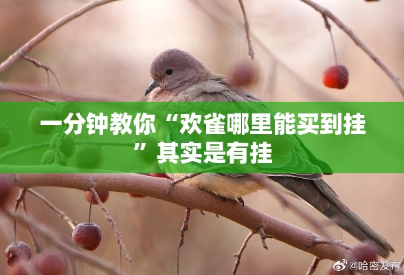 一分钟教你“欢雀哪里能买到挂”其实是有挂