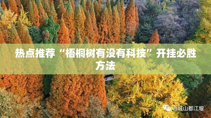 热点推荐“梧桐树有没有科技”开挂必胜方法