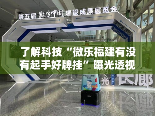 了解科技“微乐福建有没有起手好牌挂”曝光透视猫腻