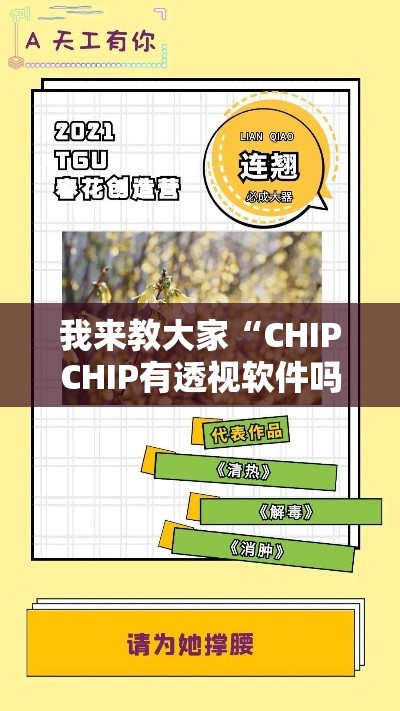 我来教大家“CHIPCHIP有透视软件吗”可以开挂