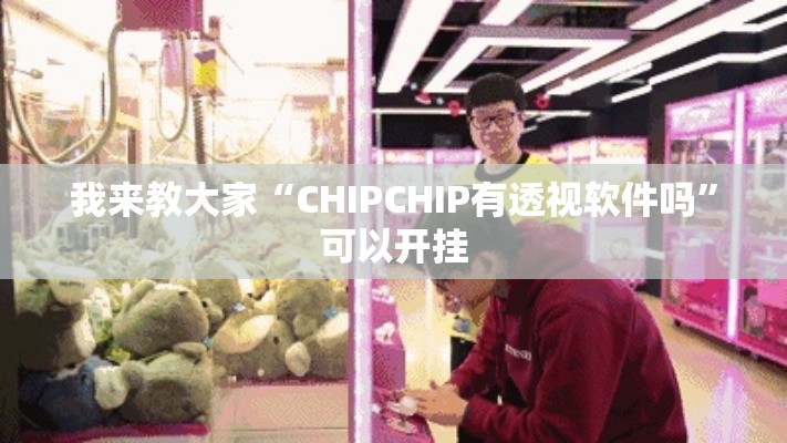 我来教大家“CHIPCHIP有透视软件吗”可以开挂