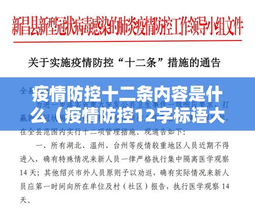 疫情防控十二条内容是什么(疫情防控12字标语大全) 疫情防控十二条内容是什么(疫情防控12字标语大全)