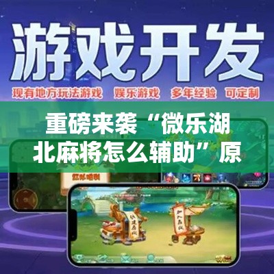 重磅来袭“微乐湖北麻将怎么辅助”原来可以开挂