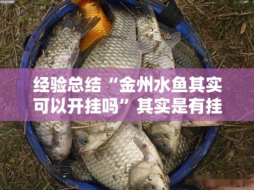 经验总结“金州水鱼其实可以开挂吗”其实是有挂