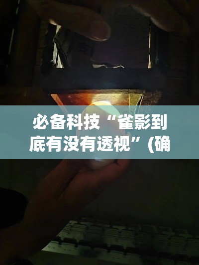 必备科技“雀影到底有没有透视”(确实有挂)