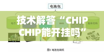 技术解答“CHIPCHIP能开挂吗”太坑了原来有挂