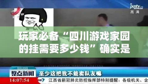 玩家必备“四川游戏家园的挂需要多少钱”确实是有挂