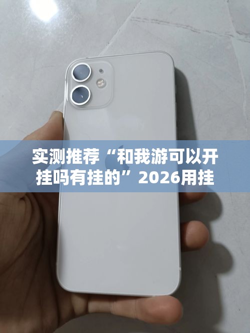 实测推荐“和我游可以开挂吗有挂的”2026用挂