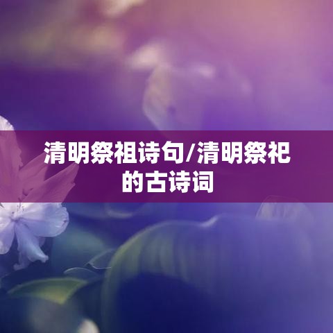 清明祭祖诗句/清明祭祀的古诗词