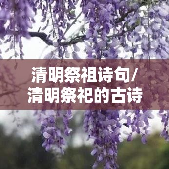 清明祭祖诗句/清明祭祀的古诗词