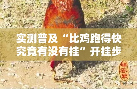 实测普及“比鸡跑得快究竟有没有挂”开挂步骤方法