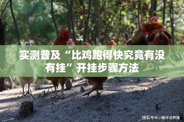 实测普及“比鸡跑得快究竟有没有挂”开挂步骤方法