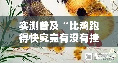 实测普及“比鸡跑得快究竟有没有挂”开挂步骤方法