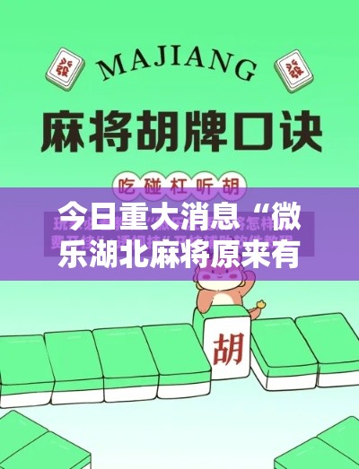 今日重大消息“微乐湖北麻将原来有挂”其实确实有挂