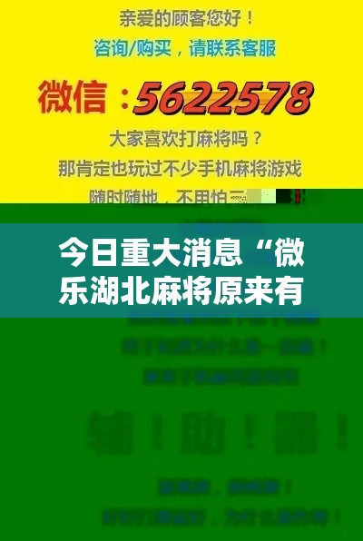 今日重大消息“微乐湖北麻将原来有挂”其实确实有挂