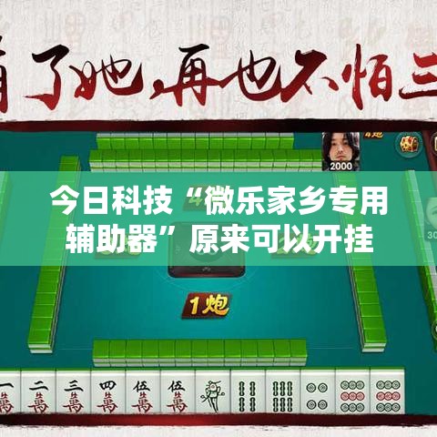 今日科技“微乐家乡专用辅助器”原来可以开挂