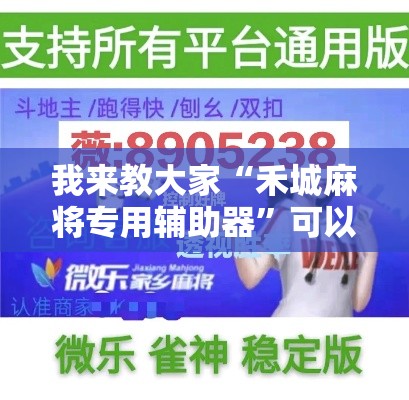 我来教大家“禾城麻将专用辅助器”可以辅助