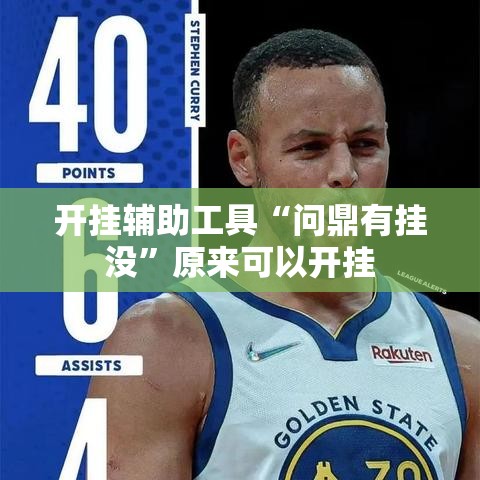 开挂辅助工具“问鼎有挂没”原来可以开挂