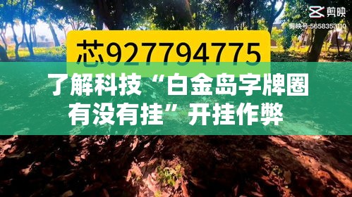了解科技“白金岛字牌圈有没有挂”开挂作弊