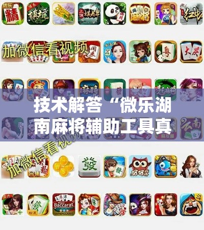 技术解答“微乐湖南麻将辅助工具真可以装挂 技术解答“微乐湖南麻将辅助工具真可以装挂