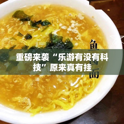 重磅来袭“乐游有没有科技”原来真有挂