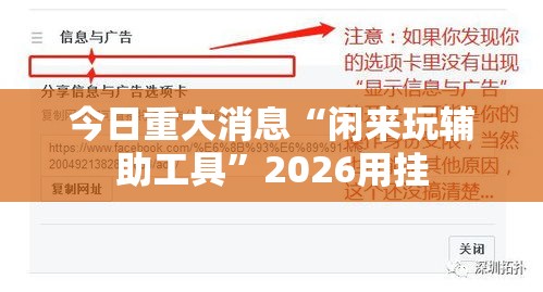 今日重大消息“闲来玩辅助工具”2026用挂