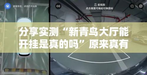 分享实测“新青鸟大厅能开挂是真的吗”原来真有挂