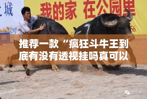推荐一款“疯狂斗牛王到底有没有透视挂吗真可以装挂