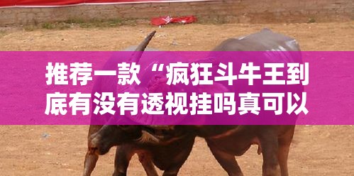 推荐一款“疯狂斗牛王到底有没有透视挂吗真可以装挂