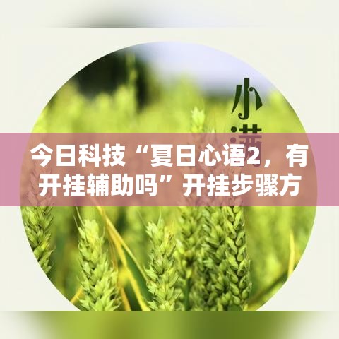 今日科技“夏日心语2，有开挂辅助吗”开挂步骤方法