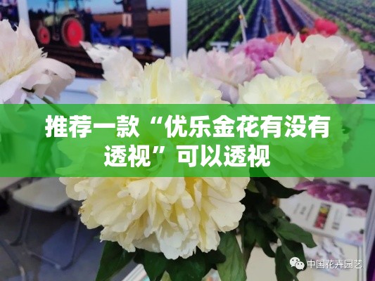 推荐一款“优乐金花有没有透视	”可以透视