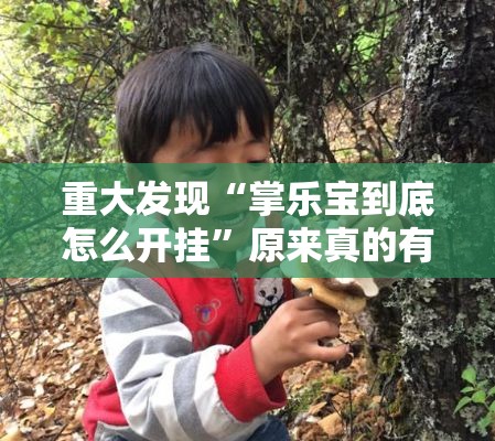 重大发现“掌乐宝到底怎么开挂	”原来真的有挂