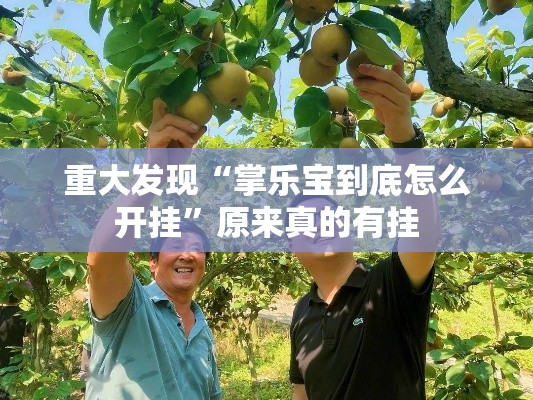 重大发现“掌乐宝到底怎么开挂”原来真的有挂