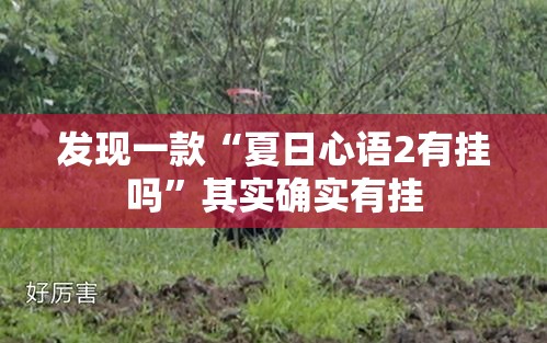 发现一款“夏日心语2有挂吗”其实确实有挂