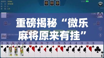 重磅揭秘“微乐麻将原来有挂”解密透视猫腻