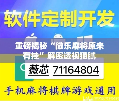 重磅揭秘“微乐麻将原来有挂”解密透视猫腻