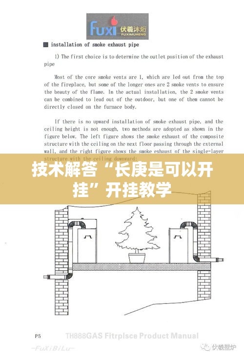 技术解答“长庚是可以开挂	”开挂教学