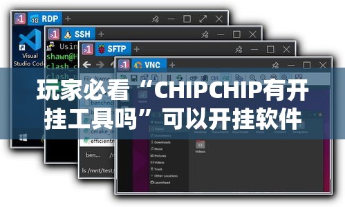 玩家必看“CHIPCHIP有开挂工具吗”可以开挂软件
