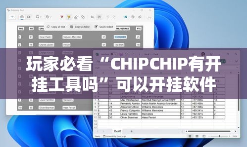 玩家必看“CHIPCHIP有开挂工具吗”可以开挂软件