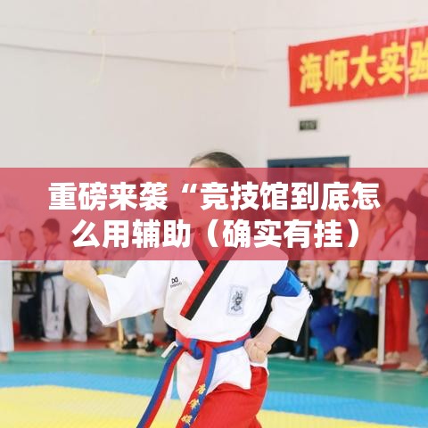 重磅来袭“竞技馆到底怎么用辅助(确实有挂) 重磅来袭“竞技馆到底怎么用辅助(确实有挂)