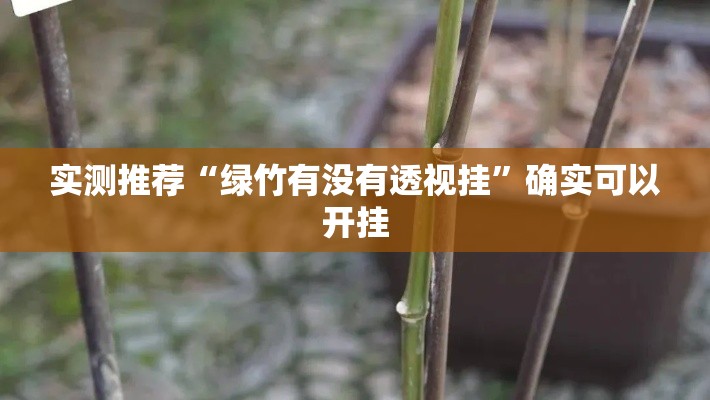 实测推荐“绿竹有没有透视挂”确实可以开挂