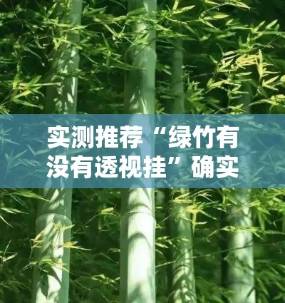 实测推荐“绿竹有没有透视挂”确实可以开挂