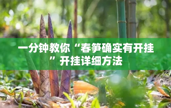 一分钟教你“春笋确实有开挂”开挂详细方法